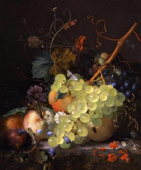 Jan van Huysum Still-life of grapes and a peach on a table-top Spain oil painting art